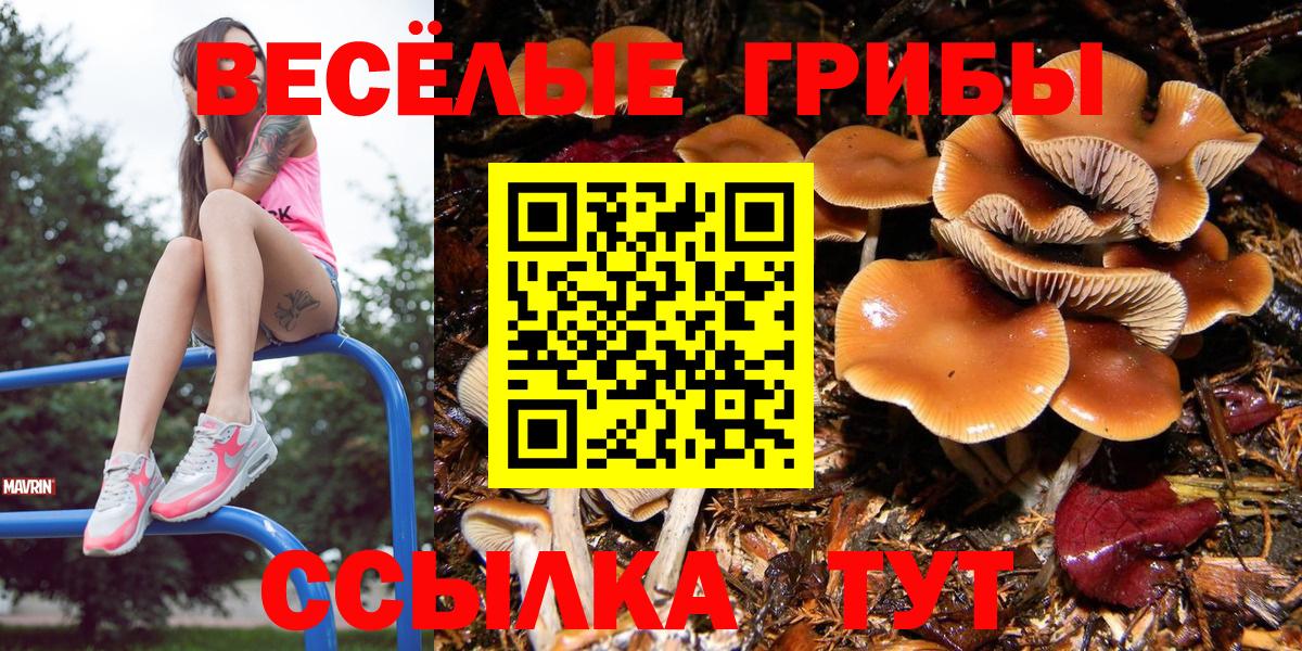 Галлюциногенные грибы прущие грибы  Вход с VPN  Красноперекопск 