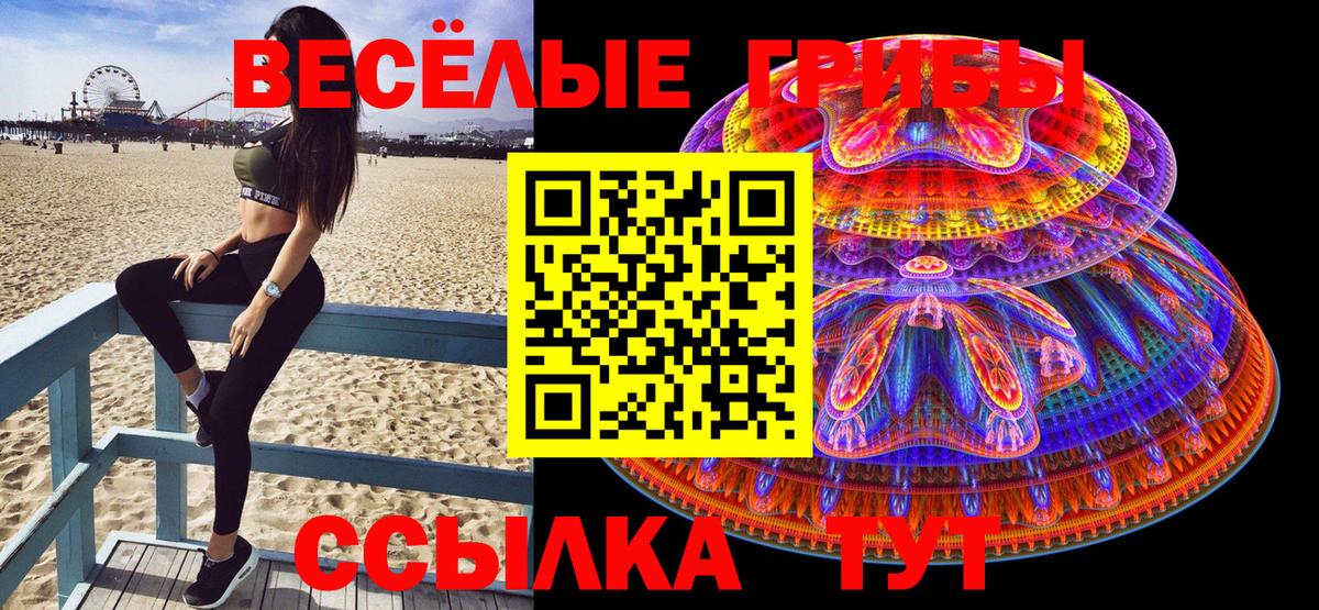 Псилоцибиновые грибы Psilocybe Красноперекопск